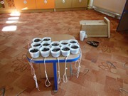 Výukový program Ptáčci v zimě